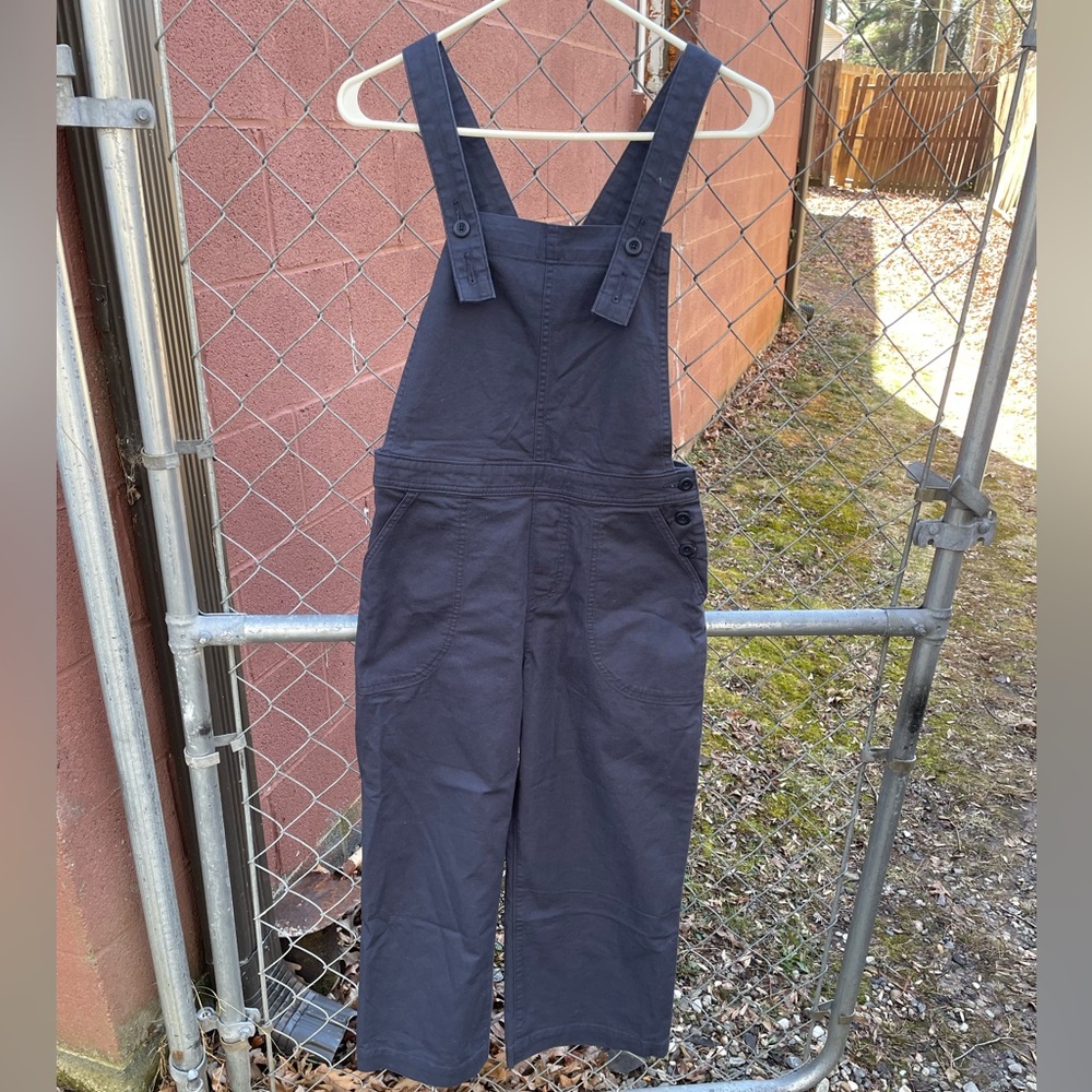 Patagonia Stand Up Cropped Overalls Size 0